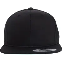 Flexfit Pro-style Twill Cap