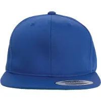 Flexfit Pro-style Twill Cap