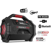 Perfectpro Rocktagon Bærbar Radio