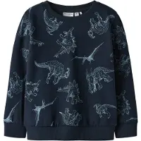 Name it Collegegenser - Nå - NmmVaron - Dark Sapphire - - 4 år (104) - Collegegenser