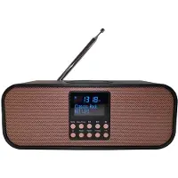 Scansonic PA8001 DAB+ radio with wireless charger - DAB+/FM - Svart