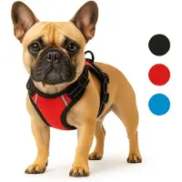 Flamingo Balou Hundesele