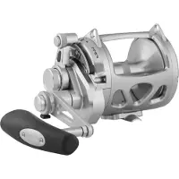 Penn International Vi Sw Trolling Snelle