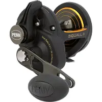 Penn Squall Ii Lever Drag Trolling Snelle