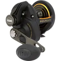 Penn Squall Ii Lever Drag Trolling Snelle