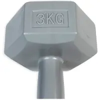 ASG Handweight 3 kg vinyl