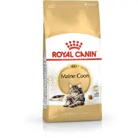 Royal Canin Økonomipakke: 2 store poser kattefôr - Maine Coon Adult (2 x 10 kg)