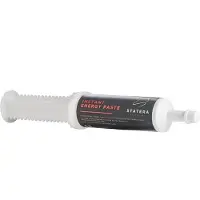 STATERA Horsecare Instant Energy Paste