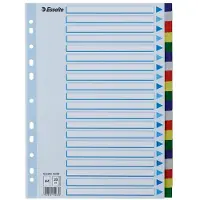 Esselte - Inndeler - 20 deler - for A4 - med fliker