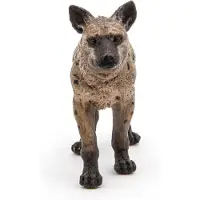 Papo 50252, 3 år, Wild animal kingdom, Flerfarget, PVC