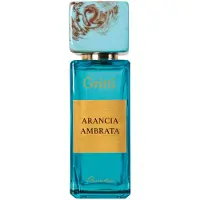 Gritti Amber Orange Eau de Parfum Unisex 100ml