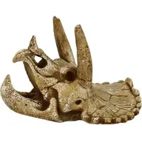 4FISH Kranie 14,3x12x9,7 cm