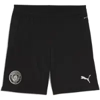 Puma Manchester City Training Shorts Men, Sport, Black/Silver, XXL