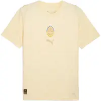 Puma FC Shakhtar Donetsk 25/26 Third Jersey Men, Sport, Creamy Vanilla/Gold, XL