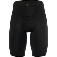 Q36.5 Gregarius Essential Sykkelshorts