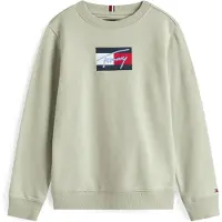 Tommy Hilfiger Script Flag Collegegenser