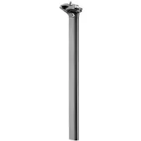 Giant Variant 2024 Tcr Setepinne