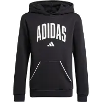Adidas Seasonals Essentials Collegiate Typography Hettegenser