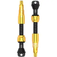 Lezyne Pro Tubeless 44 Mm Ventiler