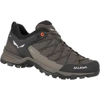 Salewa Mtn Trainer Lite Goretex Tilnærmingssko