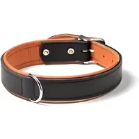 Karlie Rondo Riveted Hundehalsbånd