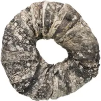 Trixie Denta Fun tyggering med fisk, bulk, 110 g - (50 pk/ps)