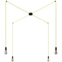 Creative Cables Spider 4 Falls With Light Bulb Pendellampe