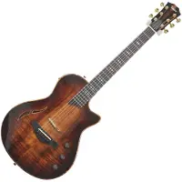 Taylor Guitars Taylor T5z Custom Koa (2024)