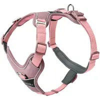 Hunter Pet Divo Up Hundesele