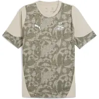 Puma PSV Eindhoven Training Jersey Men, Sport, Desert Dust/Loden Green, 3XL