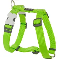 Red Dingo Smooth Hundesele