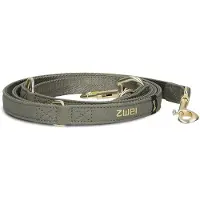 Zwei Leo Le20 Hundebånd
