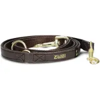 Zwei Leo Le20 Hundebånd