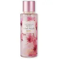 Victoria's Secret Petals Cashmere Bodymist 250 ml