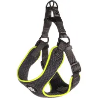 Flamingo Step&go Tasha Hundesele