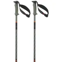 Salomon Polar Pro S3 Spaserstokker