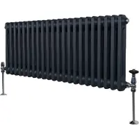 MonsterShop Tradisjonell 2-kolonne radiator - 300 x 1012 mm - Antrasittgrå