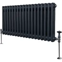 MonsterShop Tradisjonell 2-kolonne radiator - 300 x 832 mm - Antrasittgrå