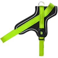 My Family Memopet Hundesele