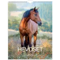 Burde Seinäkalenteri 2026 Hevoset 295x390 mm Burde