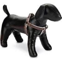 Designed By Lotte Virante Hundesele