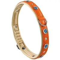 Ferplast Circus 20 Mm 44 Cm Hundehalsbånd