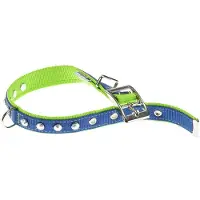 Ferplast Dual 25 Mm 45 Cm Hundehalsbånd