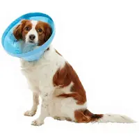 Kruuse Soft Flex Elizabethan 10 Cm Hundehalsbånd 5 Enheter