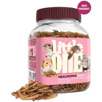 Mealberry Littleone Snack Melorm Snack Til Gnagere 70g 6 Enheter