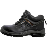 Oriocx Cortijo S3 Verne Sko
