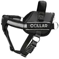 Collar Pet Dog Extreme Police Hundesele