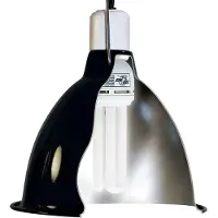 Zoo med Dyp Kuppellampe