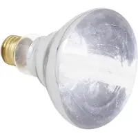 Zoo med Halogen Varmelampe For Reptiler