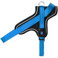 My Family Memopet Y Hundesele